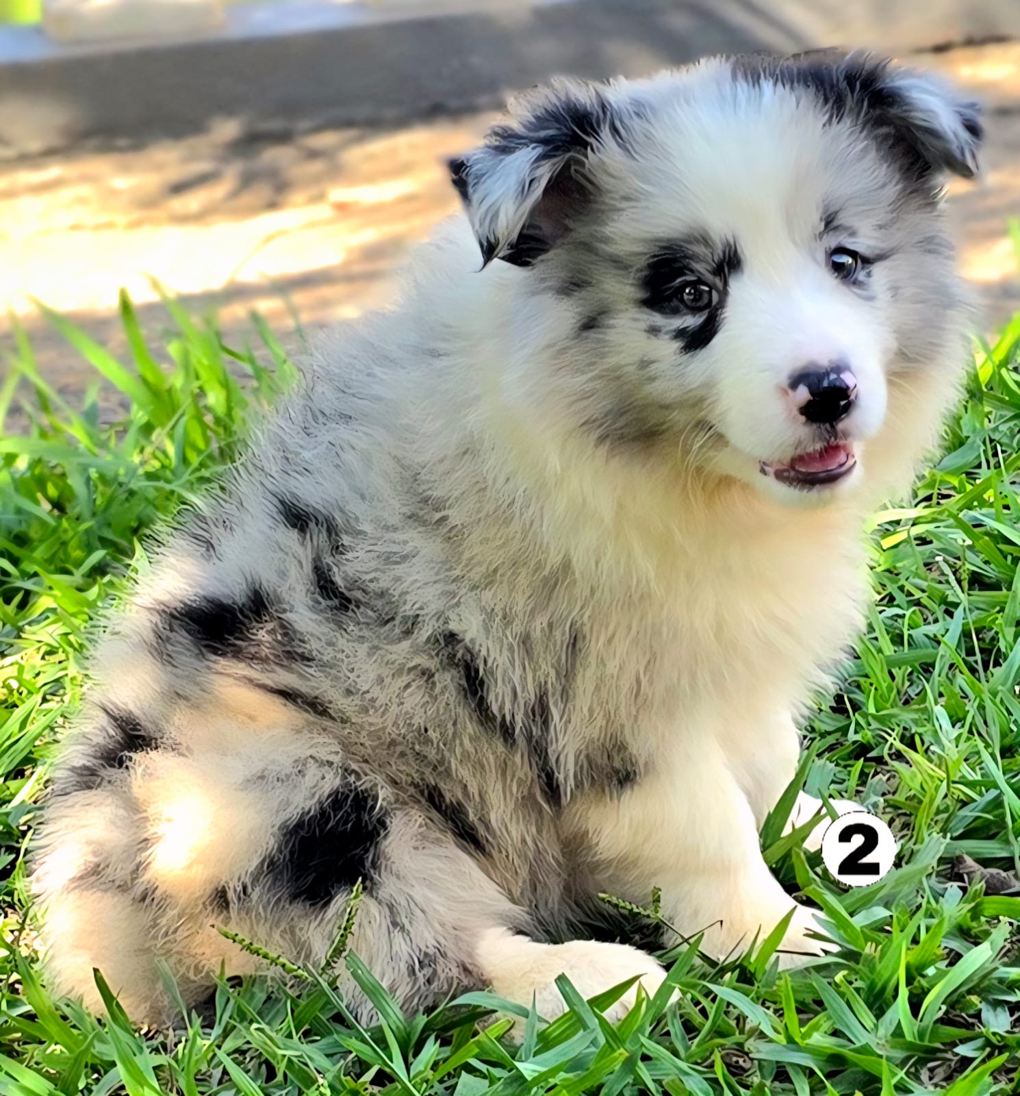 5bdb676f-4789-4fc4-99e0-b8a4b3b49dba