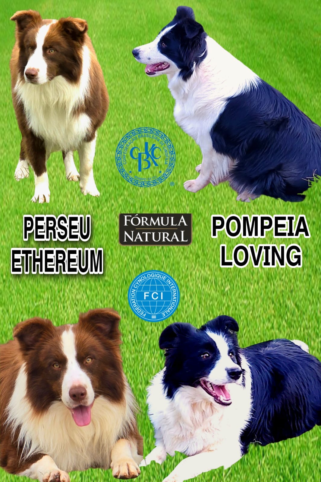 689b8d4b-ecf2-4318-9d3b-90161cb2773b